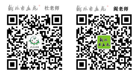 �����黭Է